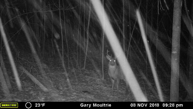 43170-20181109033001-101MFCAM_MFDC2911