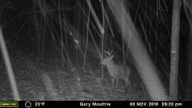 43170-20181109033003-101MFCAM_MFDC2912