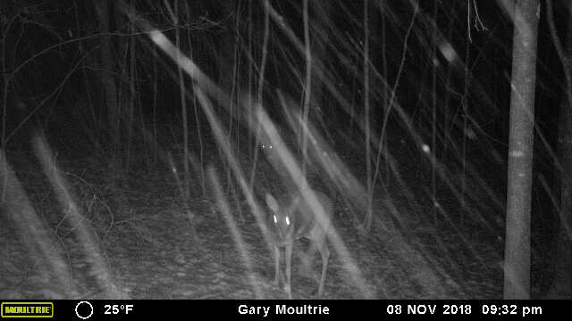 43170-20181109033421-101MFCAM_MFDC2919