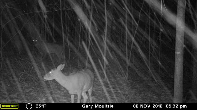 43170-20181109033428-101MFCAM_MFDC2921