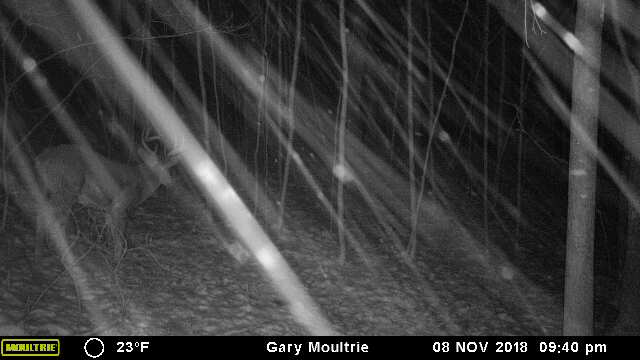 43170-20181109034200-101MFCAM_MFDC2922