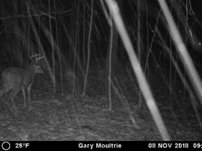 Images from Gary&nbsp;Moultrie