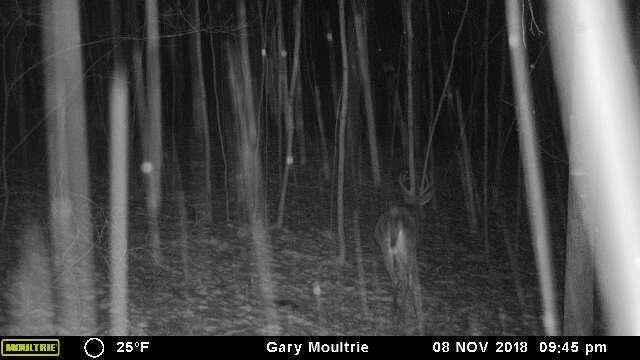 43170-20181109034701-101MFCAM_MFDC2930