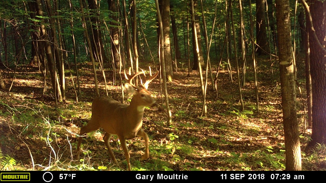 MOULTRIE DIGITAL GAME CAMERA