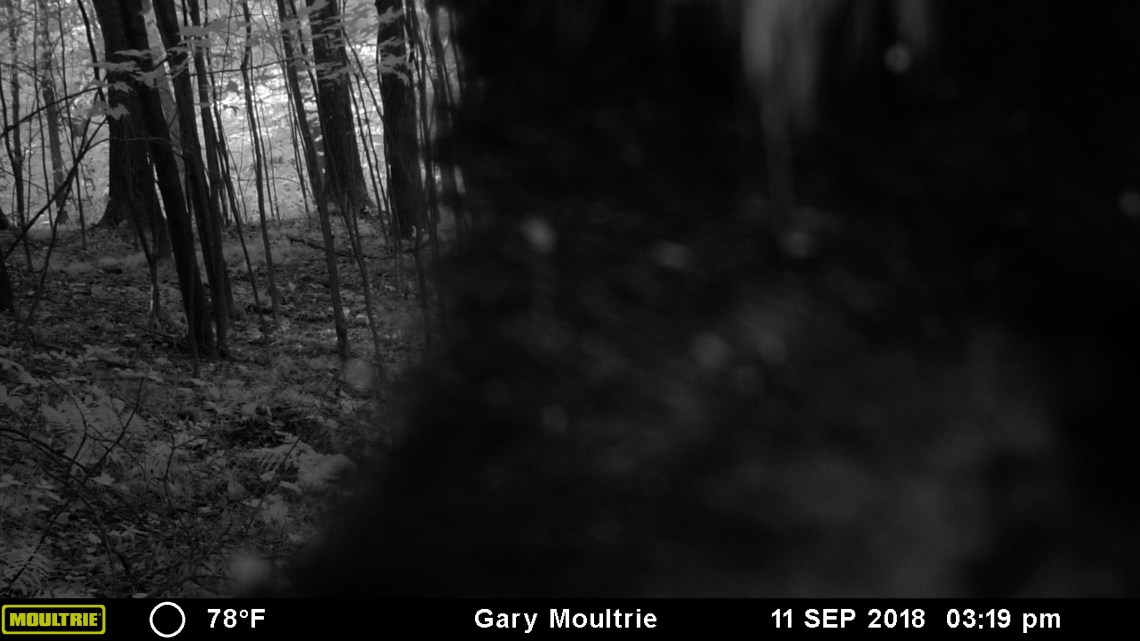 MOULTRIE DIGITAL GAME CAMERA
