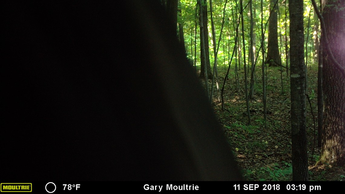 MOULTRIE DIGITAL GAME CAMERA