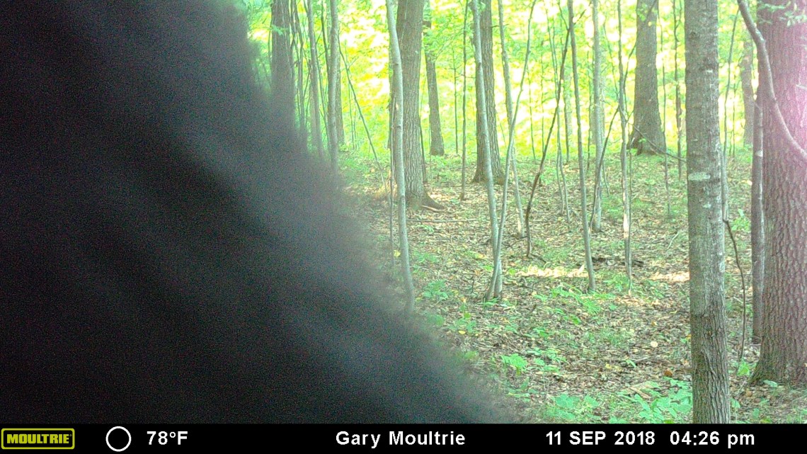 MOULTRIE DIGITAL GAME CAMERA