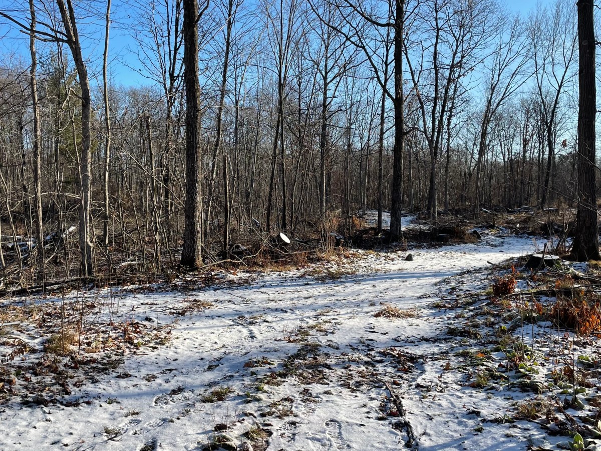 Trouble at Teabag&nbsp;Junction